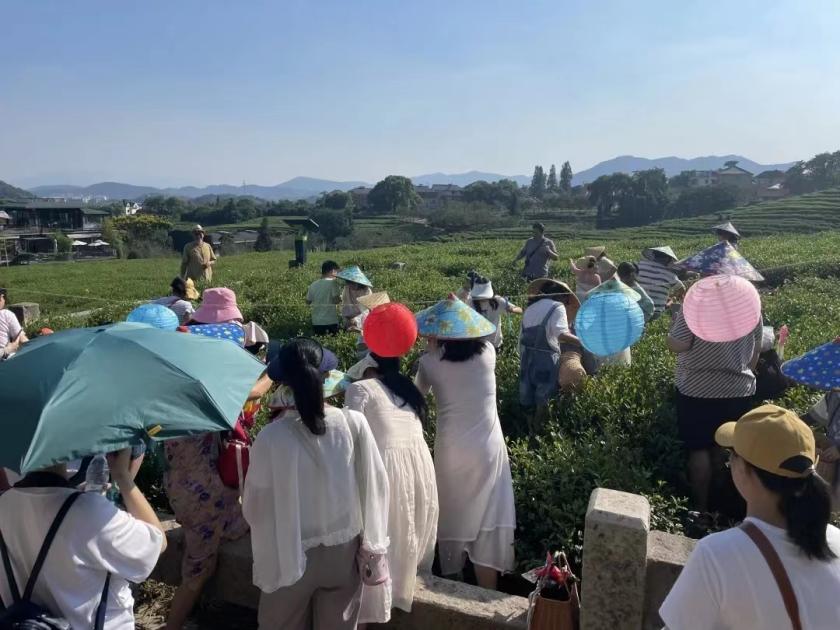 Tourists at the tea village on Sep. 12, 2022